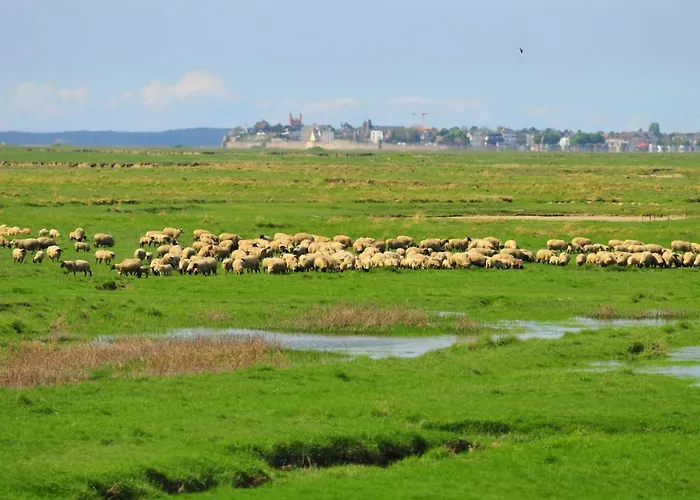 Express By Ihg 3* Amiens